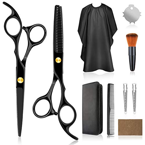 Hair Cutting Scissors Professional Home Haircutting Barber Salon Thinning Shears Kit 6CR 660C stainless steel with Comb and Case for Men/Women - HAB 