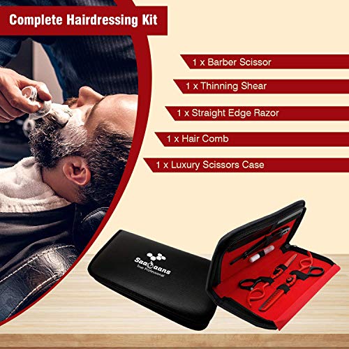 Saaqaans MSS-04 Stylish Haircut Scissors Set - Hair Cutting Scissor for Barber/Hairdresser/Hair Salon + Texture/Thinning Hairdressing Shear for Beautician + Straight Edge Razor + 10 Blades with Case - HAB 